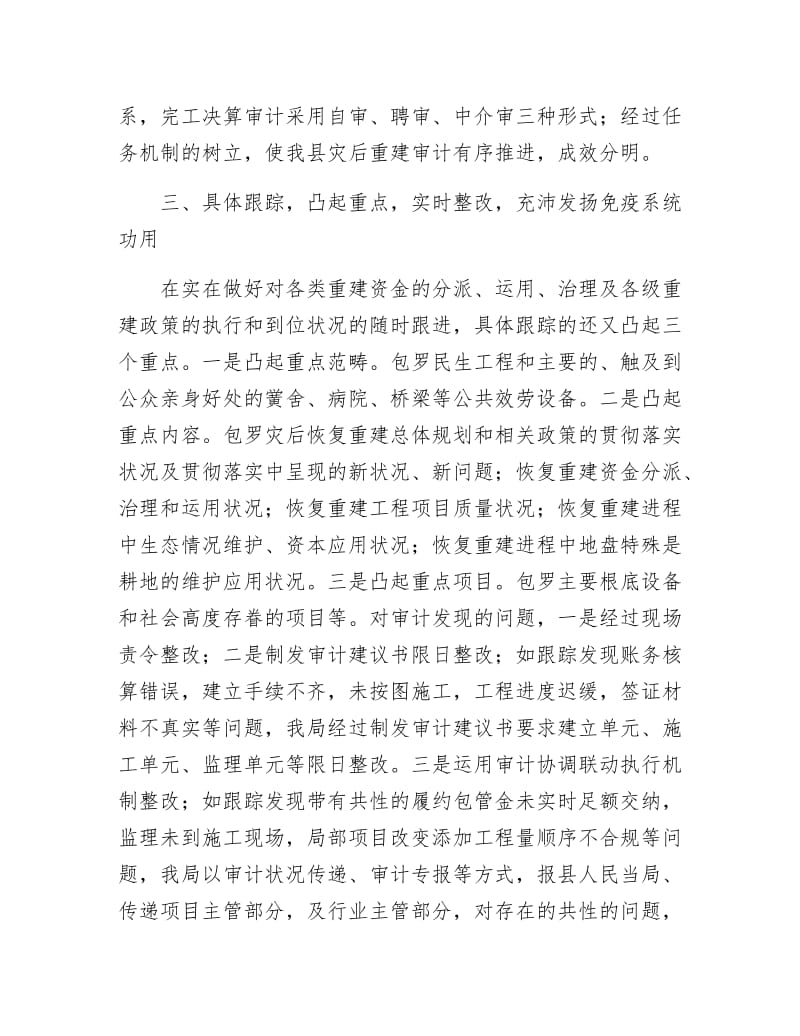 审计创新实干经验交流.docx_第3页