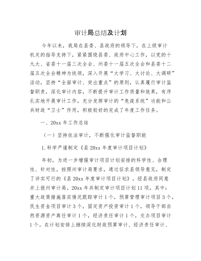 审计局总结及计划.docx_第1页