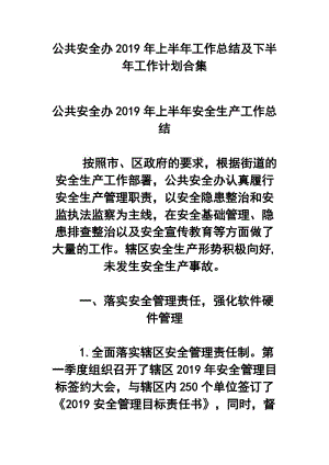 公共安全办2019年上半年工作总结及下半年工作计划合集.docx