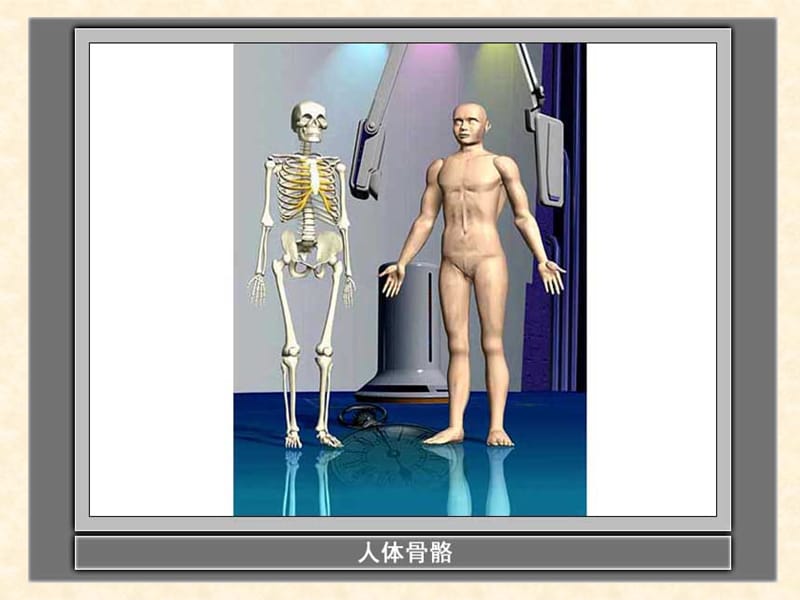 小学科学四年级上册_关节.ppt_第1页