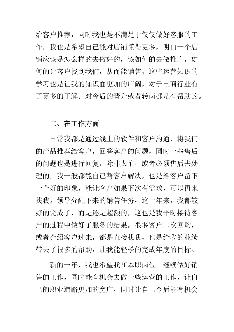 电商客服个人年终工作总结与电脑城销售人员年终工作总结两篇.doc_第2页