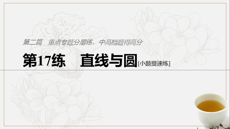 浙江专用2019高考数学二轮复习精准提分第二篇重点专题分层练中高档题得高分第17练直线与圆课件.pptx_第1页