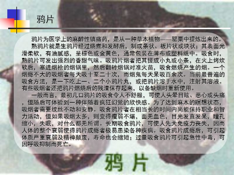 珍爱生命,远离毒品 (2).ppt_第2页