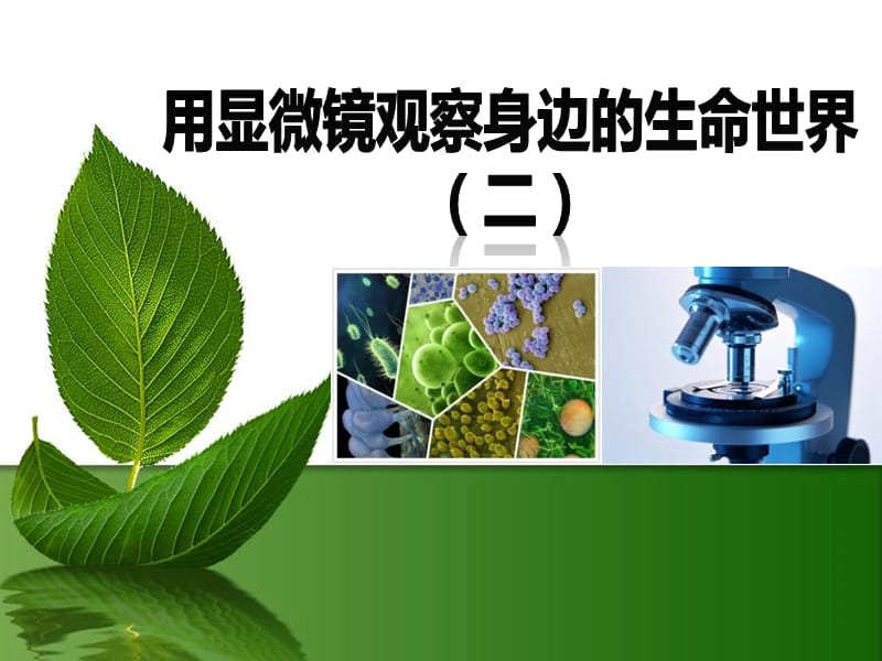 《用显微镜观察身边的生命世界(二)》.ppt_第1页