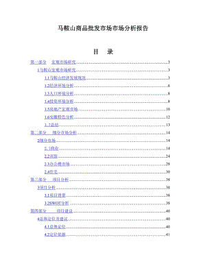 马鞍山商品批发市场市场分析报告.doc