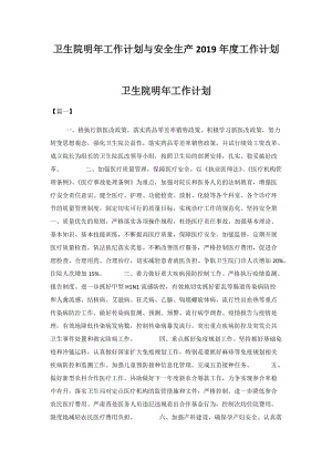 卫生院明年工作计划与安全生产2019年度工作计划.docx