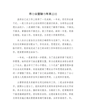 市办公室秘书年末总结.docx