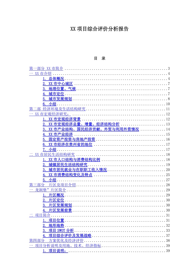 某项目综合评价分析报告.doc_第1页