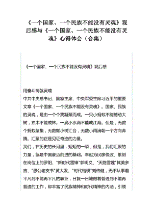 《一个国家、一个民族不能没有灵魂》观后感与《一个国家、一个民族不能没有灵魂》心得体会（合集）.docx