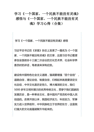 学习《一个国家、一个民族不能没有灵魂》感悟与《一个国家、一个民族不能没有灵魂》学习心得（合集）.docx