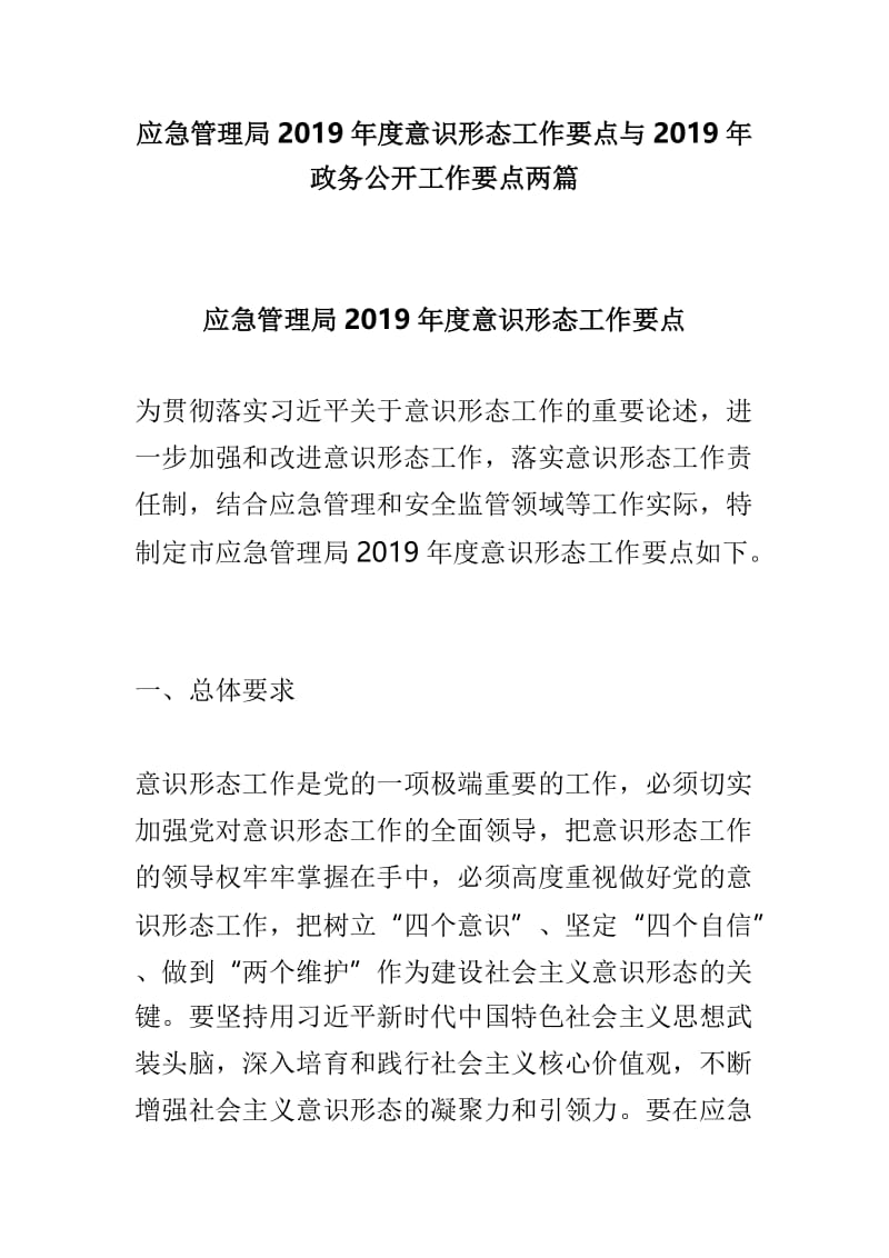 应急管理局2019年度意识形态工作要点与2019年政务公开工作要点两篇.doc_第1页