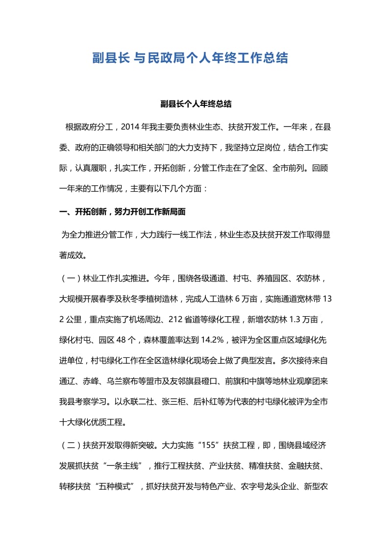 副县长与民政局个人年终工作总结.docx_第1页