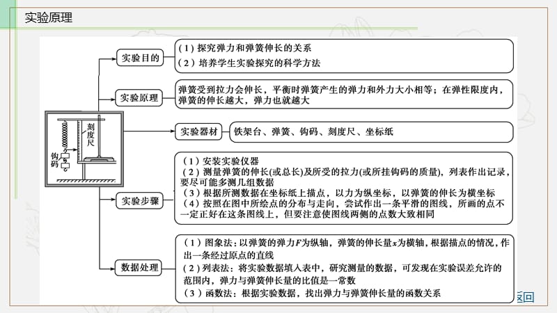 2019物理金版大一轮课件：第2章 实验二：　探究弹力和弹簧伸长的关系 .ppt_第3页