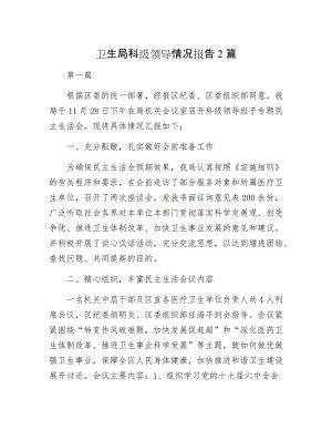 卫生局科级领导情况报告2篇.docx