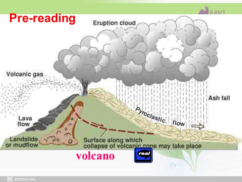 选修六 5.14《Unit 5　Reading》.ppt_第3页