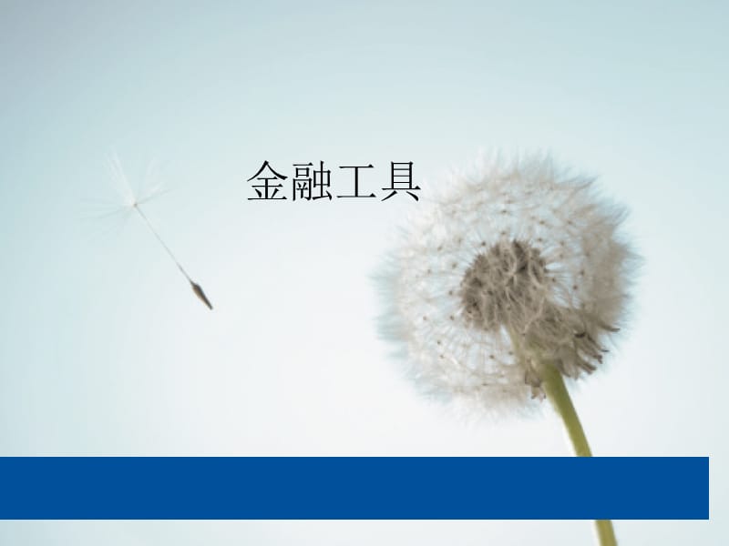 金融工具.ppt_第1页