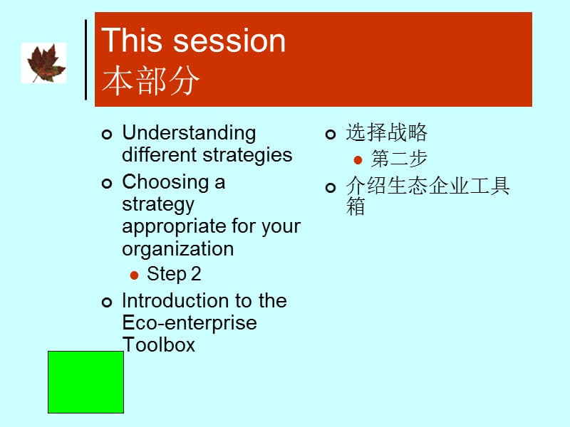 为您制定生态企业战略.ppt_第2页