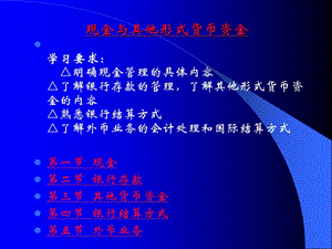 现金与其他形式货币资金.ppt