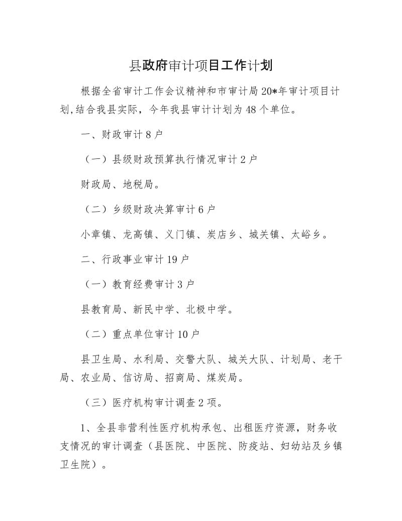 县政府审计项目工作计划.docx_第1页