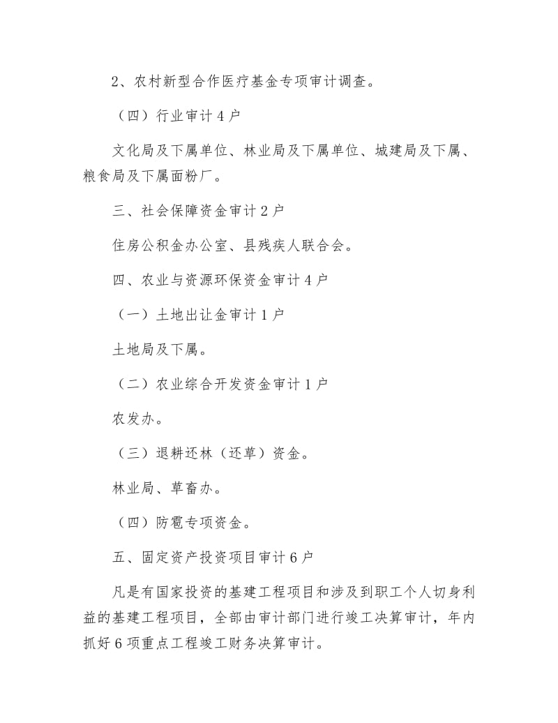 县政府审计项目工作计划.docx_第2页