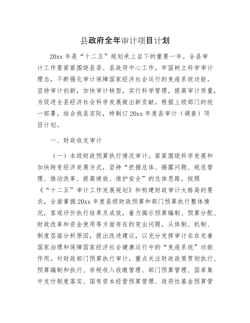 县政府全年审计项目计划.docx_第1页