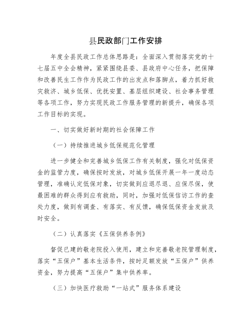 县民政部门工作安排.docx_第1页