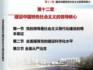 建设中国特色社会主义的领导核心.ppt