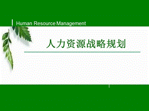 人力资源战略规划.ppt