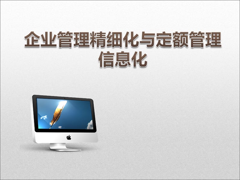 企业管理精细化与定额管理信息化.ppt_第1页