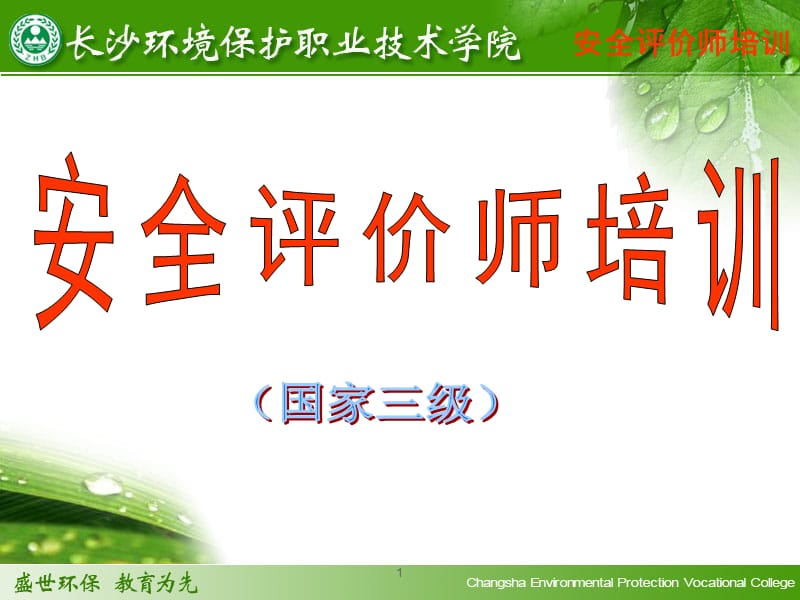 安全评价师培训.ppt_第1页