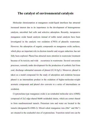 The catalyst of environmental catalysis 英语论文.doc