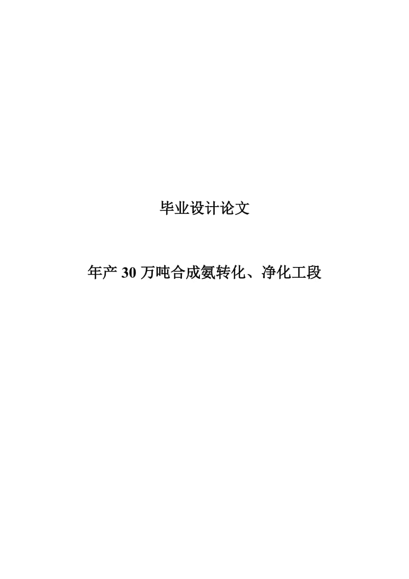 30万吨合成氨毕业设计论文.doc_第1页