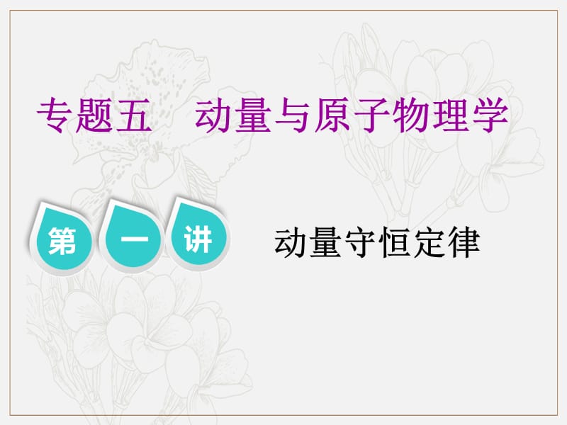 2019版高考物理江苏专版二轮复习课件：专题五 第一讲 动量守恒定律 .ppt_第1页