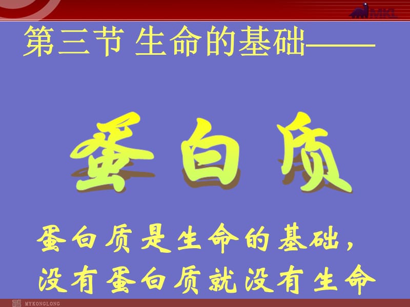 第三节 生命的基础－蛋白质.ppt_第1页