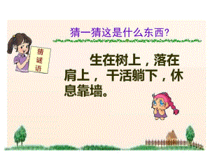 部编版二年级语文上册《朱德的扁担》PPT.pdf