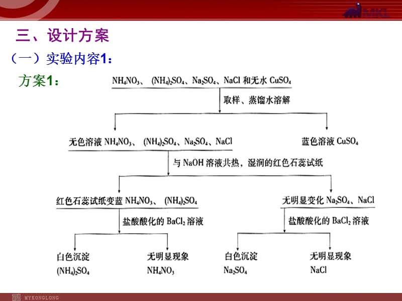 实验3-1 几种无机离子的检验.ppt_第3页