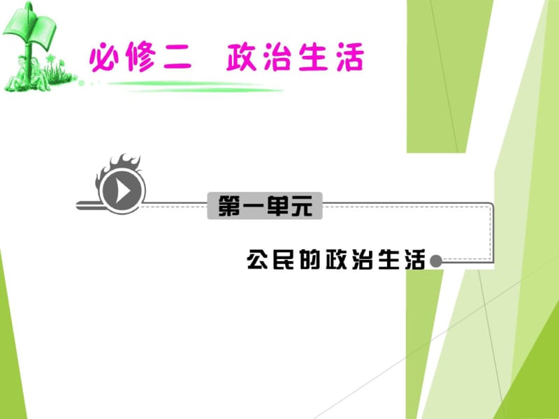 高考政治二轮复习-民主选举：投出理性一票(人教版必修2).pdf_第1页