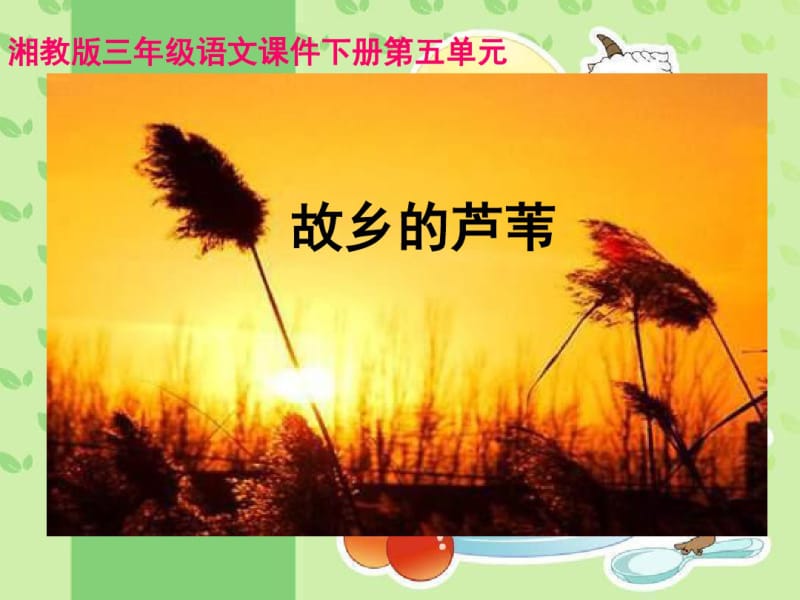 小学语文三年级下册《故乡的芦苇》教学课件(湘教版).pdf_第1页