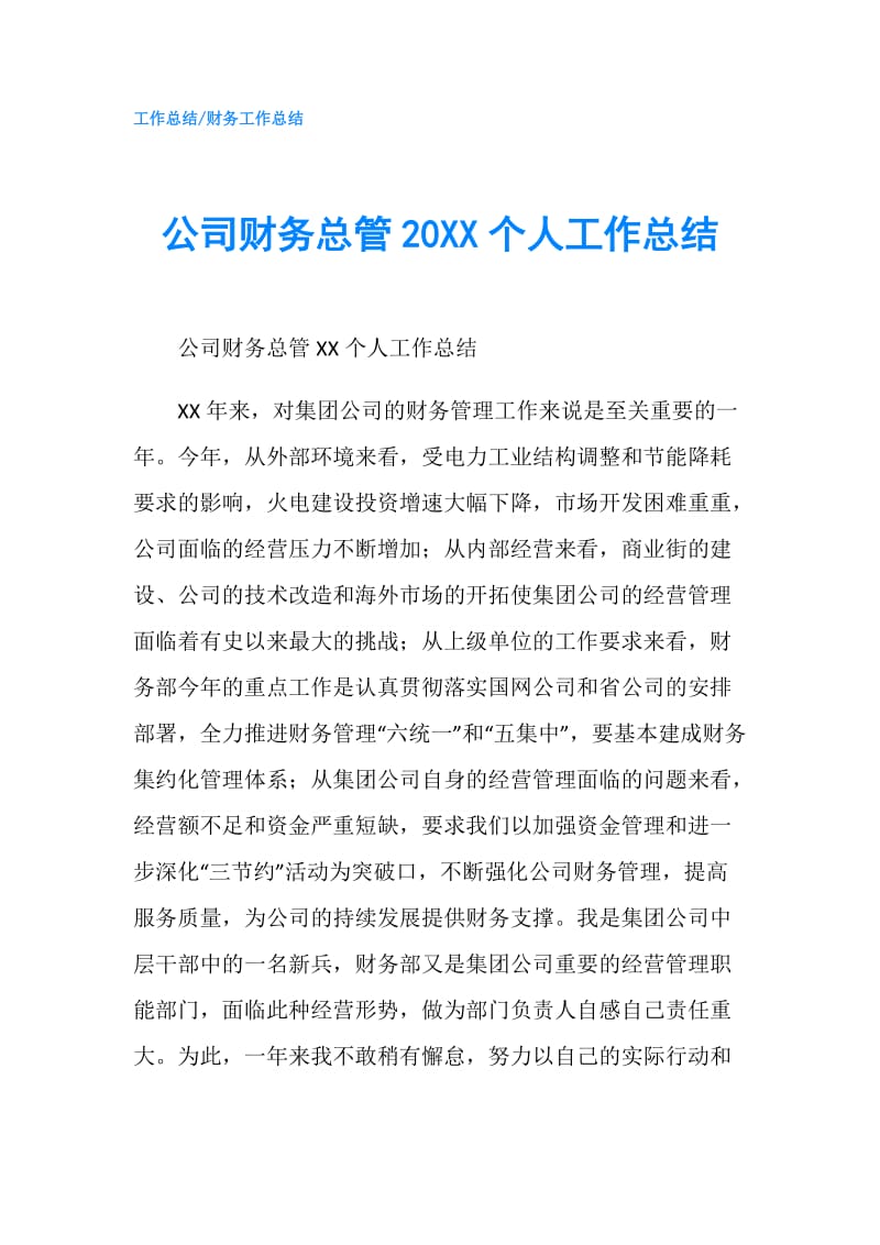 公司财务总管20XX个人工作总结.doc_第1页