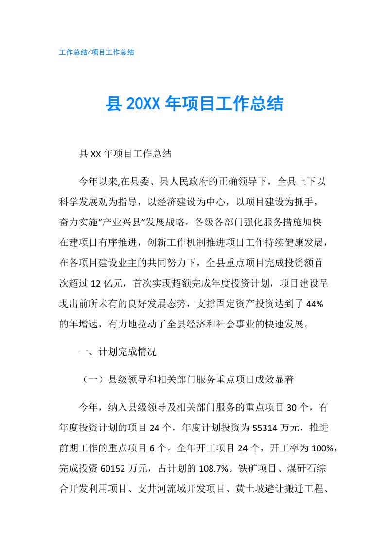 县20XX年项目工作总结.doc_第1页