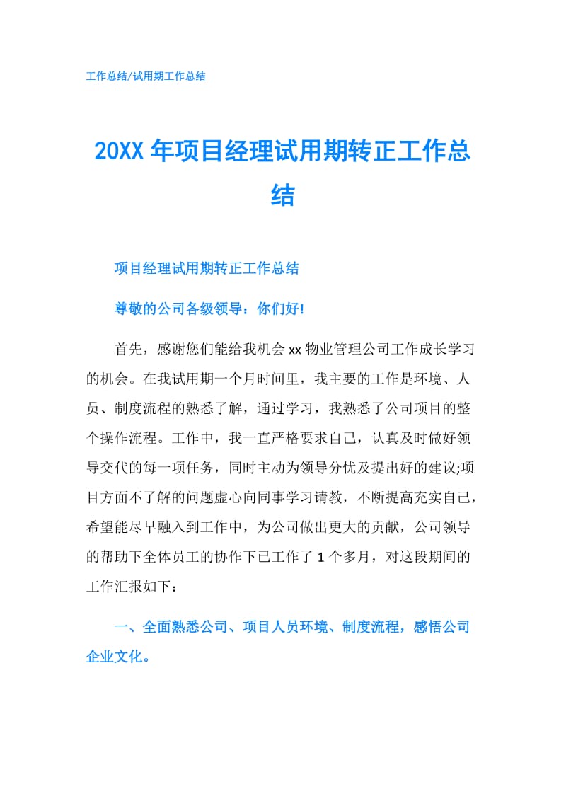 20XX年项目经理试用期转正工作总结.doc_第1页