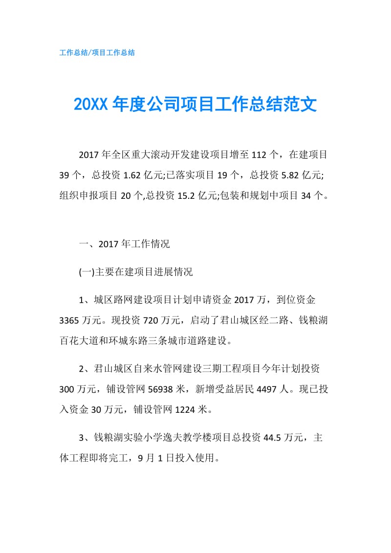 20XX年度公司项目工作总结范文.doc_第1页