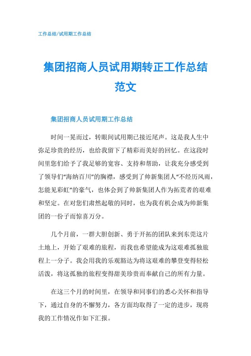 集团招商人员试用期转正工作总结范文.doc_第1页