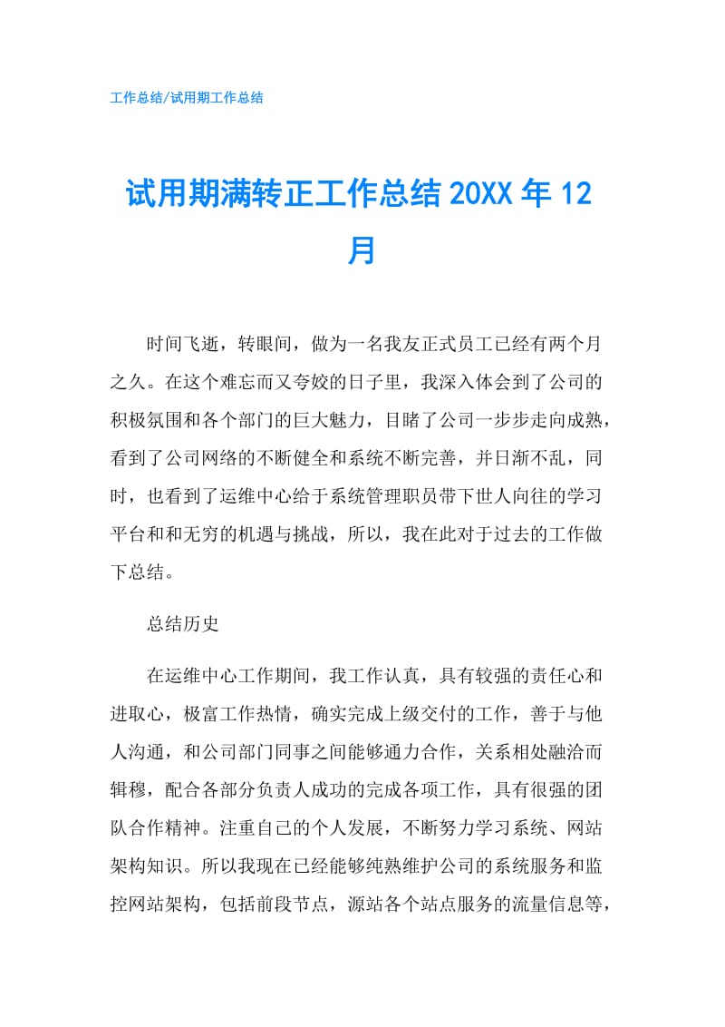 试用期满转正工作总结20XX年12月.doc_第1页