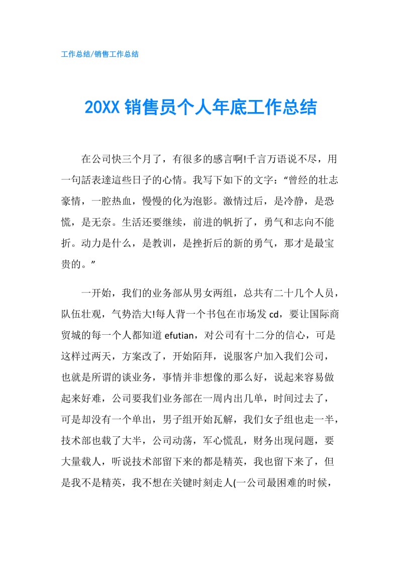 20XX销售员个人年底工作总结.doc_第1页