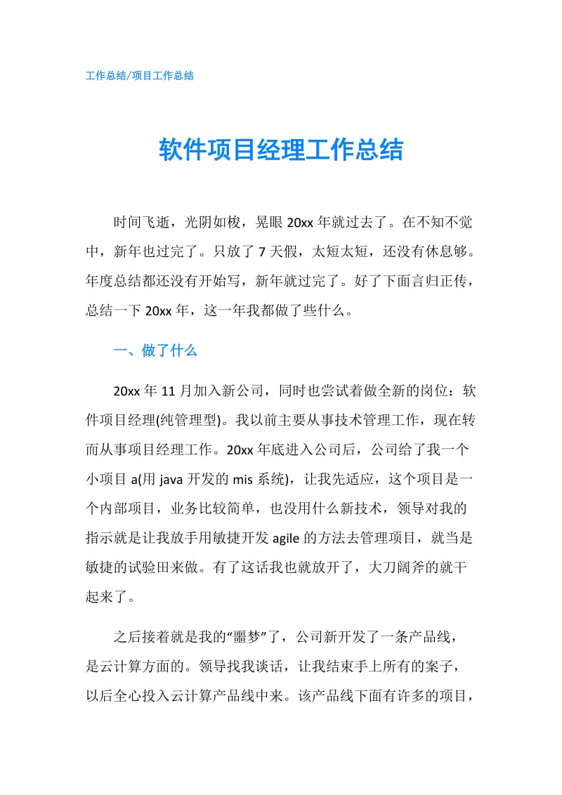 软件项目经理工作总结.doc_第1页