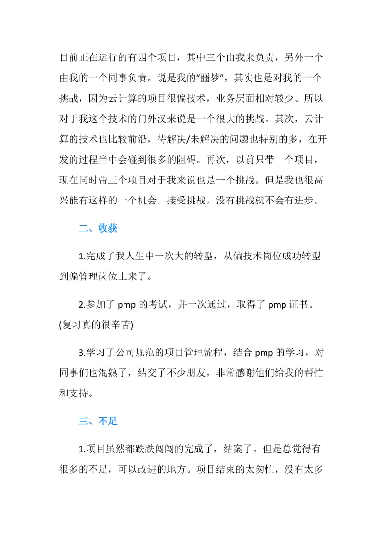 软件项目经理工作总结.doc_第2页