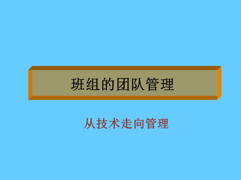 班组的团队管理《从技术走向管理》.ppt_第1页