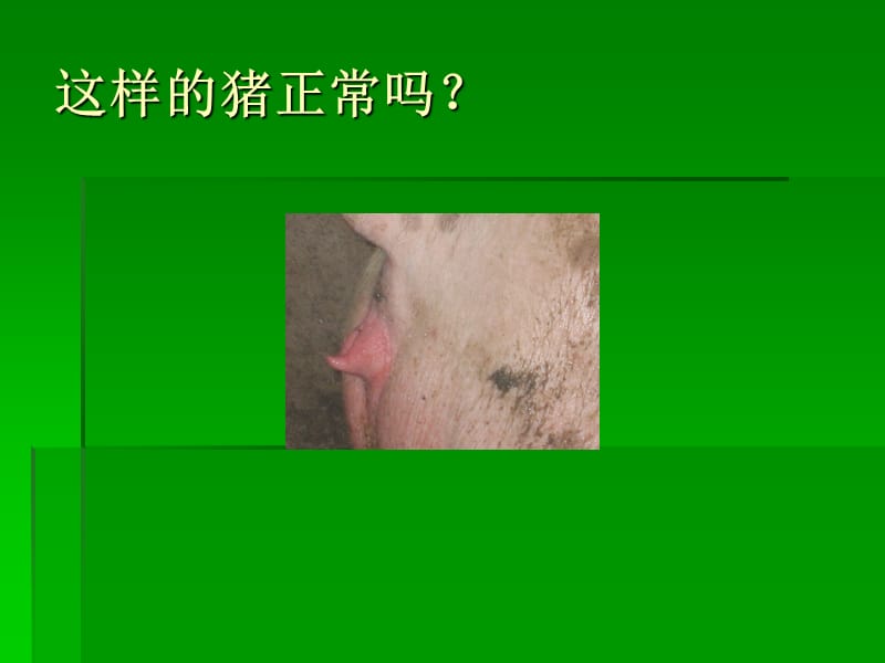 霉玉米的危害.ppt_第2页