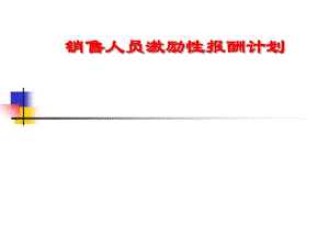 销售人员激励性报酬计划(PPT46张).pdf